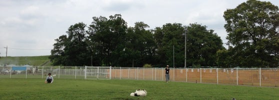 道満ドッグラン Dog Run In 戸田市