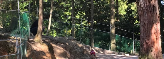 ドッグラン廿日市 1 Tip De 13 Visitantes