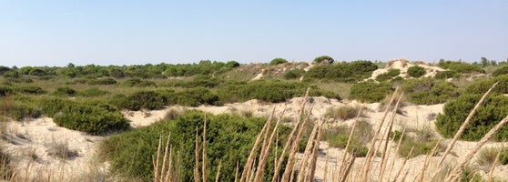 Plage De Lespiguette Le Grau Du Roi Languedoc Roussillon