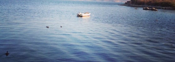 Cok Gezdim Cok Yedim
