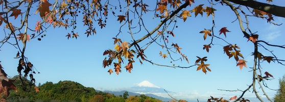 静岡市清水日本平運動公園 清水区村松30 1