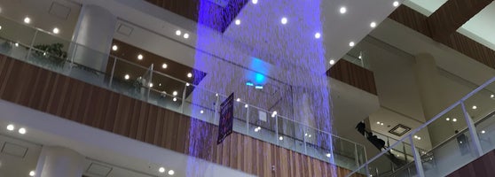 グランツリー武蔵小杉 Shopping Mall In 川崎市