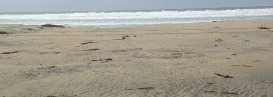 Naked sex on blacks beach