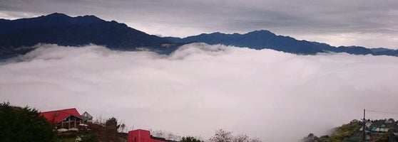 清境森之戀民宿 南投縣仁愛鄉大同村博望巷9 7號