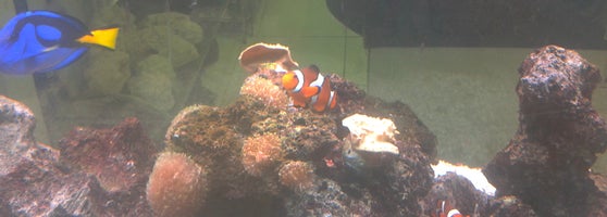 Shopping Itaigara - Centro comercial en Salvador