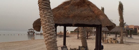 Palm Beach Resort منتجع شاطئ النخيل 78 Tips From 9683 Visitors