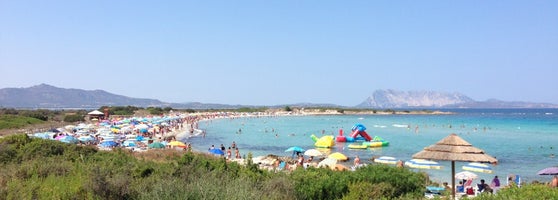 Spiaggia Lisuledda Strand In San Teodoro