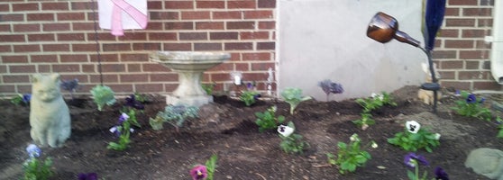 Garden In A Flower Pot Wards Corner 941 W Little Creek Rd Garden In A Flower Pot Wards Corner