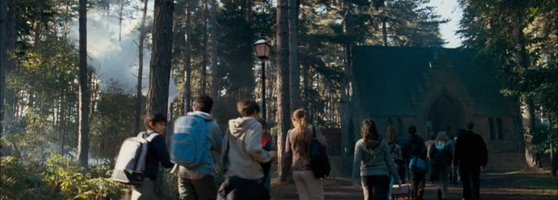 The Order of the Phoenix Park