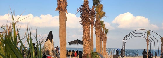 Al Bahar Beach Camp Катар