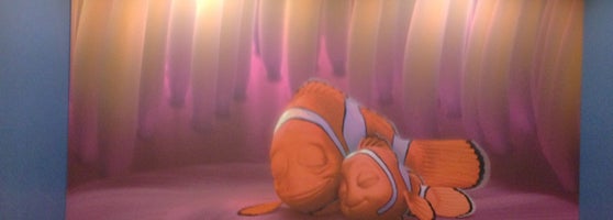 Finding Nemo Family Suites - Walt Disney World Resort - 17 tips from