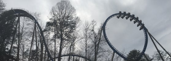 Wild Eagle Dollywood
