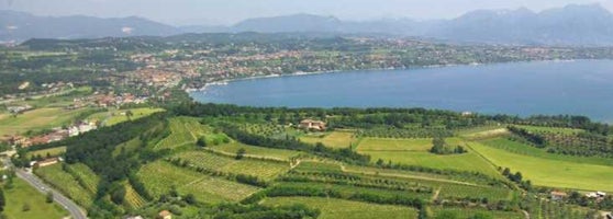 zoccole