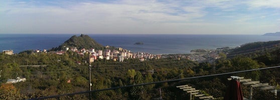 Orta Kahve 246 181 tips