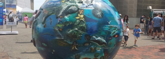New England Aquarium - 60697282 Fi9NiMJaReOz7wQpQrLF8CDSB8PUtLEmTwDv2ENr6ek