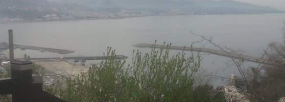 Orta Kahve 246 183 tips