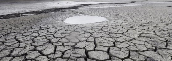 Whole Foods Market Neartown Montrose 701 Waugh Drive