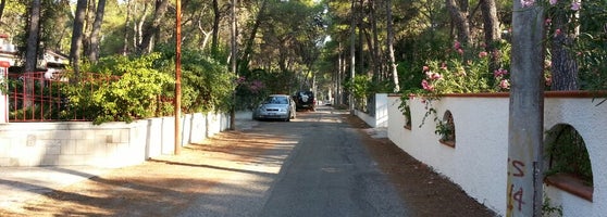 puttane