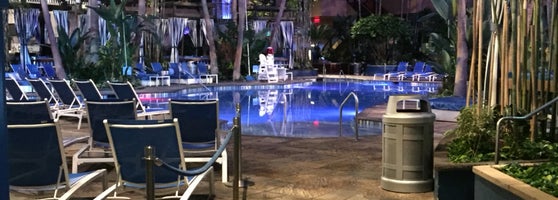 Fake Id At Harrahs Pool Party