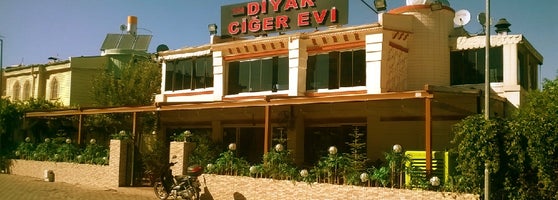 diyar ciger evi 80 tavsiye