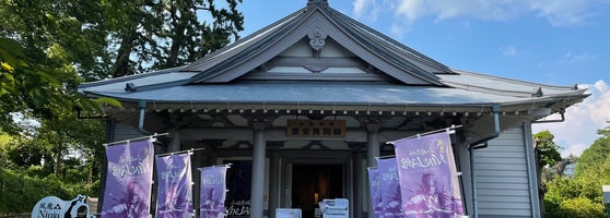 小田原城 Ninja館 歴史見聞館 Tarih Muzesi