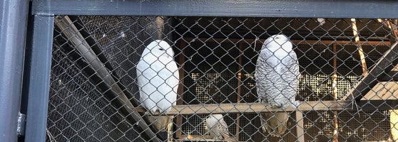 大宮公園小動物園 10 Conseils