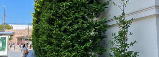 機械製氷発祥の地 山手 3 Tips From 30 Visitors