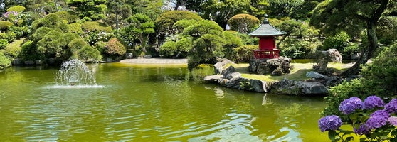 保和苑 Garden