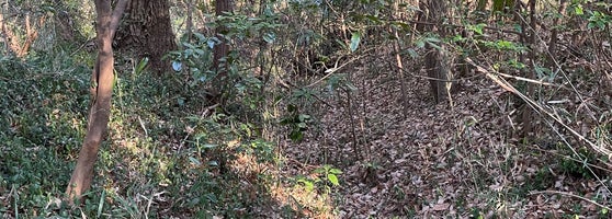 羽尾城跡 Historic Site 羽尾城跡 Historic Site