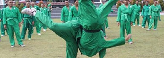 Martial Arts Nyc Covid
