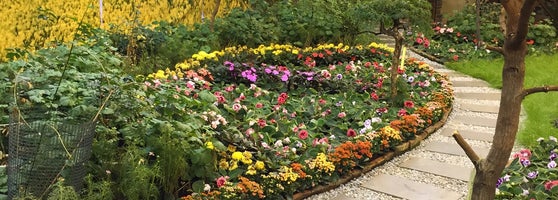 Taman Botani Negara Shah Alam - 55 tips