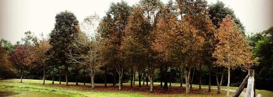 Parque Tingui - 89 tips