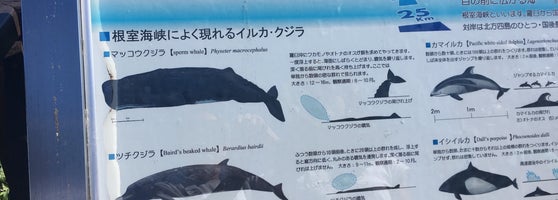 クジラの見える丘公園 Park クジラの見える丘公園 Park