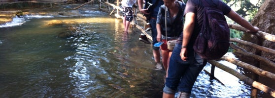 Arriva In Cima Alla Cascata Ratchet