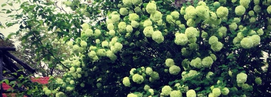 Obora Et Mangal polonezköy�da Barbekü Restoranı