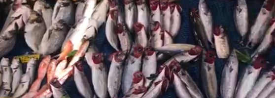 Ziyade Et Balık Bahçeşehir Bahçeşehir 2.Kısım�da Deniz Ürünleri Restoranı