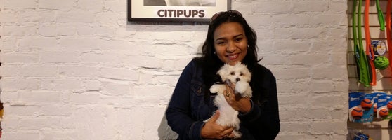 citipups prices