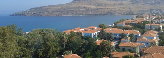 Köy Lezbiyenleri Köy Lezbiyenleri
