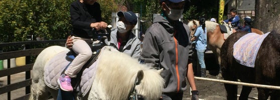 代々木ポニー公園 Park In 明治神宮 代々木ポニー公園 Park In 明治神宮