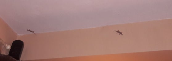 Ощущение что кто то ползает в ухе. Ощущение что кто то ползает в ухе. Черви паразиты острица. Черные червячки в кале. Жучки мокрицы.