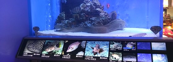ドン キホーテ 国際通り店 那覇市 Tips