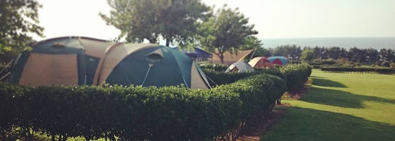 芝政ワールド Theme Park In 坂井市