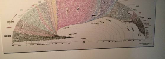 ポケモン研究所 日本科学未来館 Artik Kapali 江東区 1 Tavsiye ポケモン研究所 日本科学未来館 Artik Kapali 江東区 1 Tavsiye