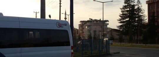 Sagra Special Ordu Merkez