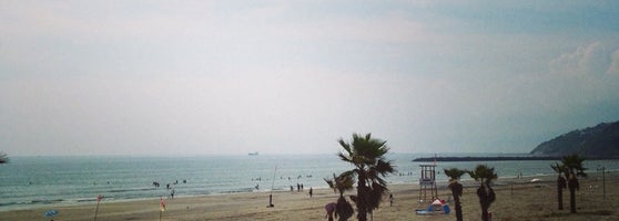 磯ノ浦 磯の浦337 5 磯ノ浦 磯の浦337 5