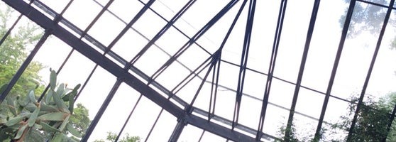 Alter Botanischer Garten Park in Zürich