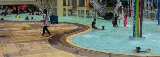Swimming Pool Pool