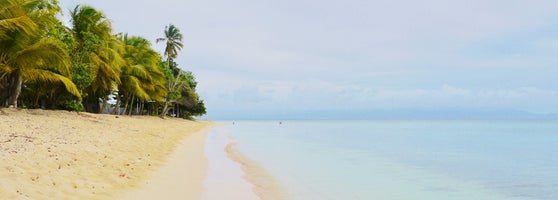Anse Du Souffleur Port Louis Guadeloupe