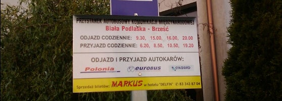 Польский автобус в варшаве. Брест-варшава автобус. Брест люблин автобус. Автобус брест бяла. Маршрутка тересполь брест.