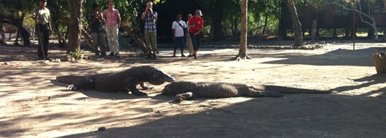 Komodo National Park National Park In Pulau Komodo